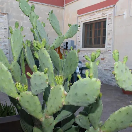 Oda ve Kahvaltı Milena Sava